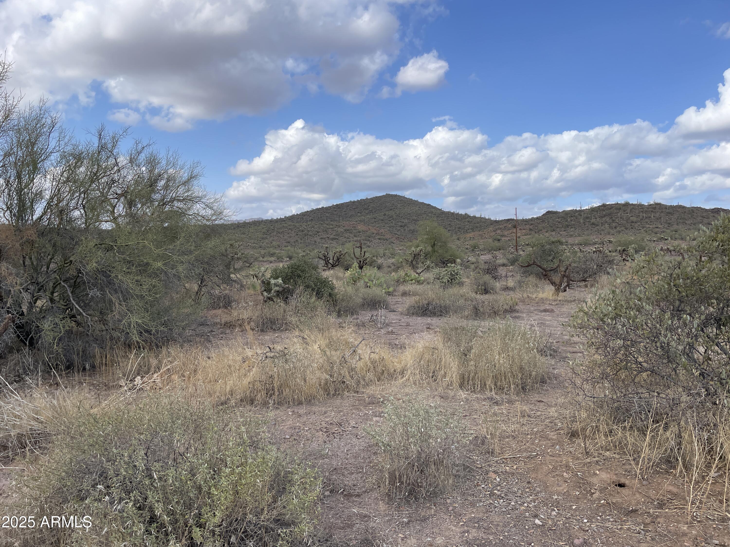 0 N Elephant Butte Road F, Queen Valley, AZ 85118 — Photo 1 of 5