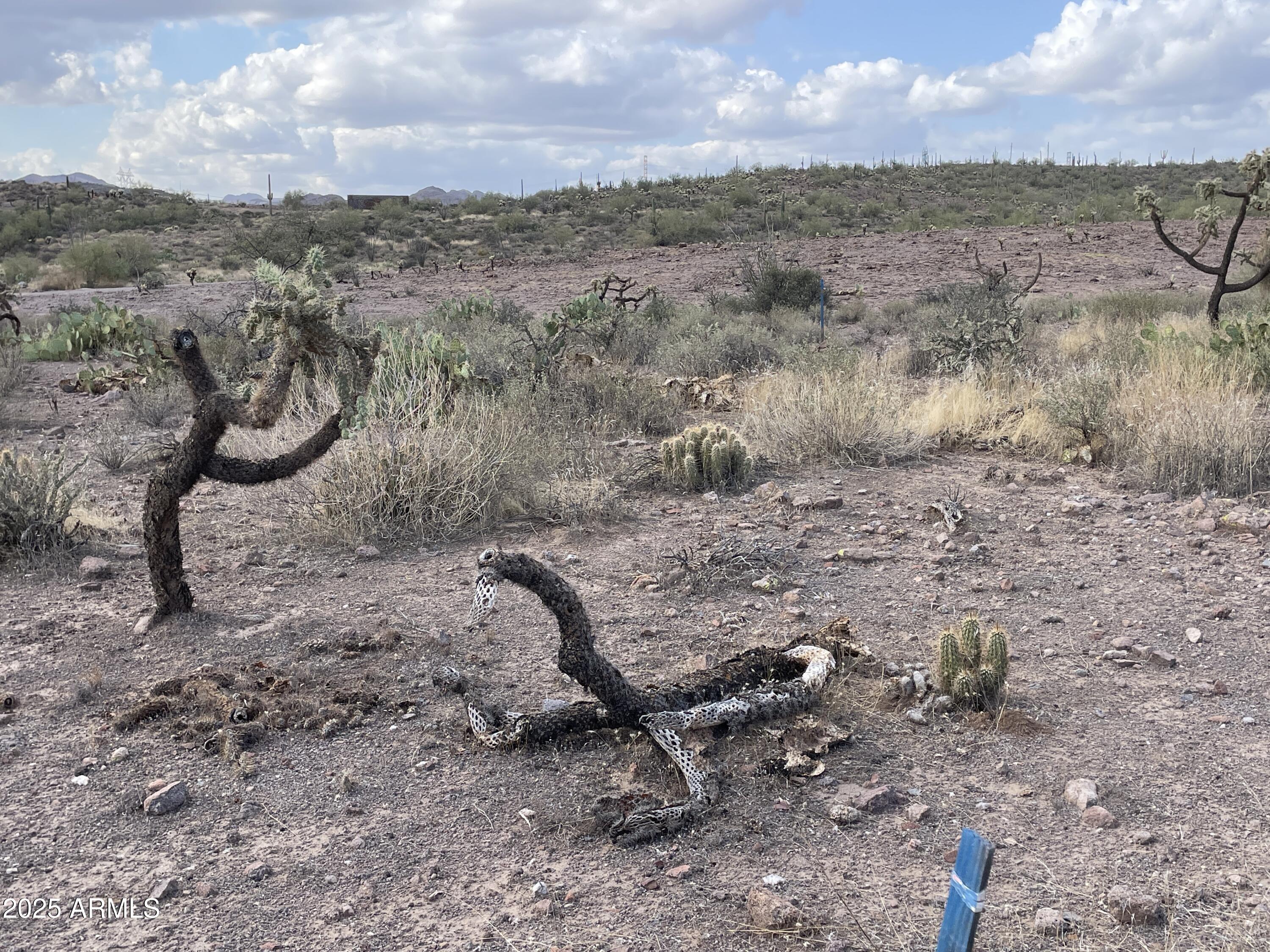 00 N Elephant Butte Road E, Queen Valley, AZ 85118 — Photo 1 of 6