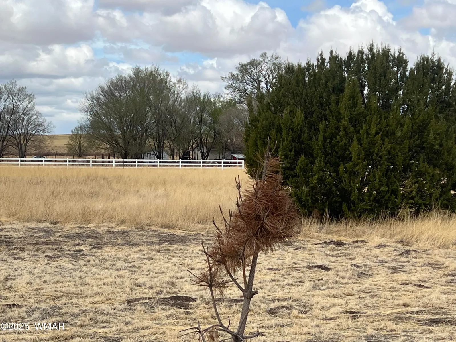 TBD W Highway 60, Springerville, AZ 85938 — Photo 1 of 3