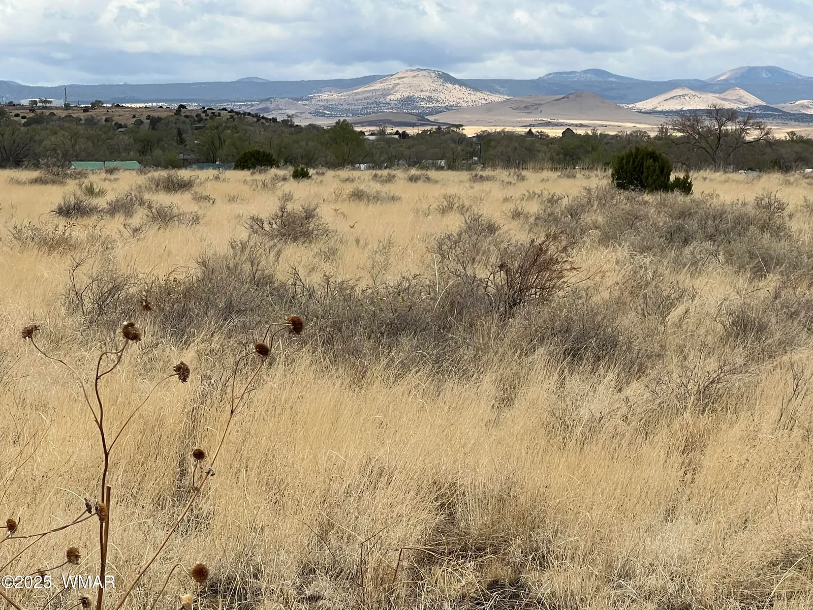TBD E Highway 60, Springerville, AZ 85938 — Photo 1 of 3