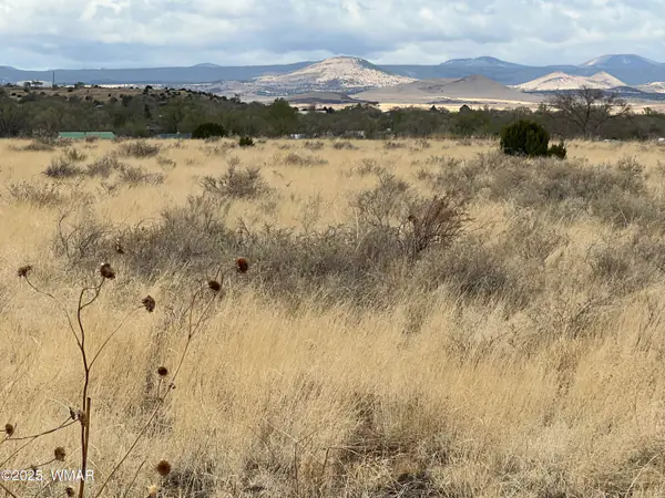 TBD E Highway 60, Springerville, AZ 85938
