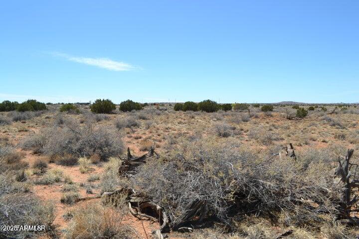 Lot 020G E 24th N Street 020G, Snowflake, AZ 85937 — Photo 1 of 14