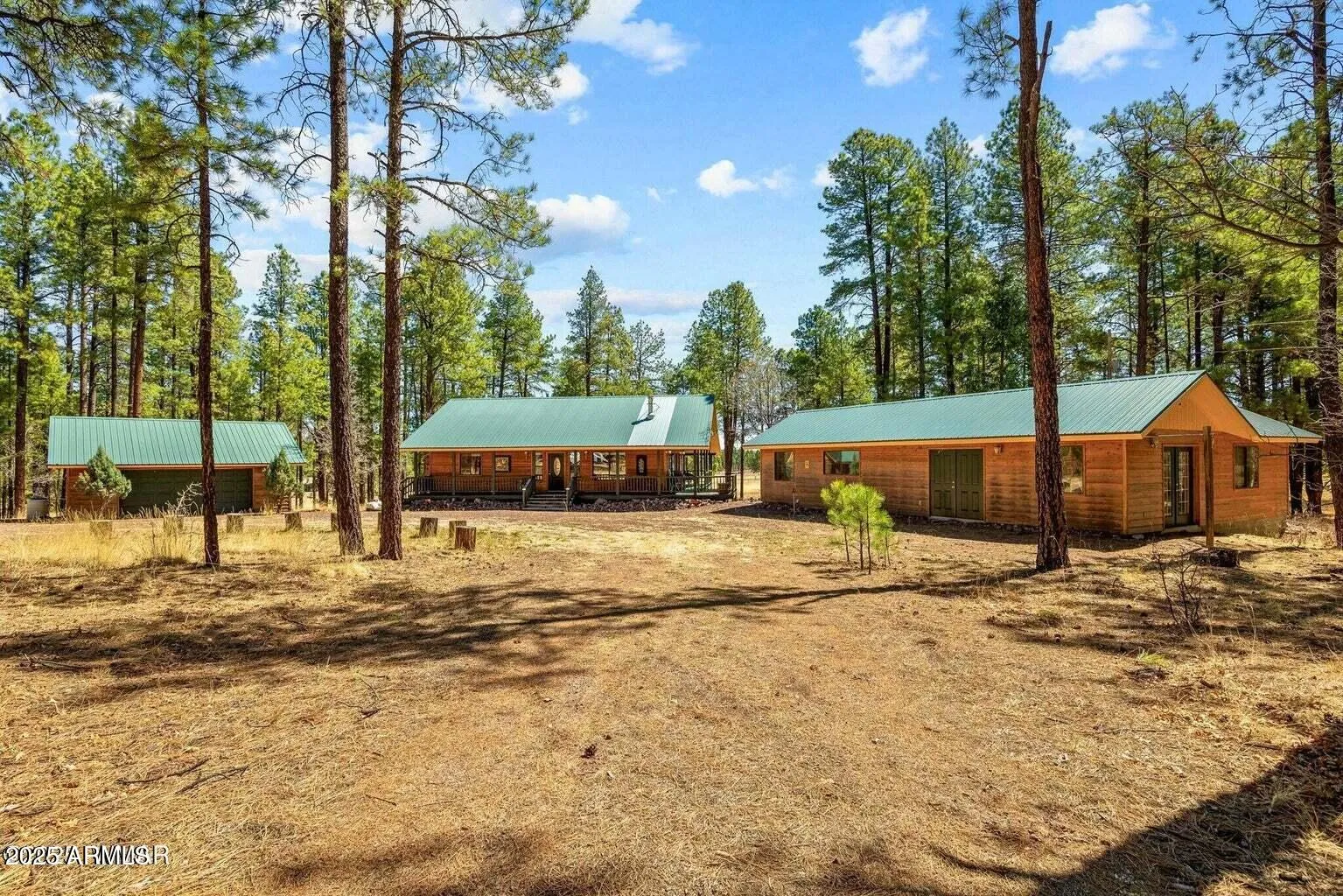 61 COUNTY ROAD 2266, Alpine, AZ 85920 — Photo 1 of 51
