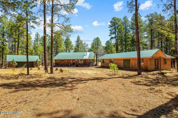 61 COUNTY ROAD 2266, Alpine, AZ 85920