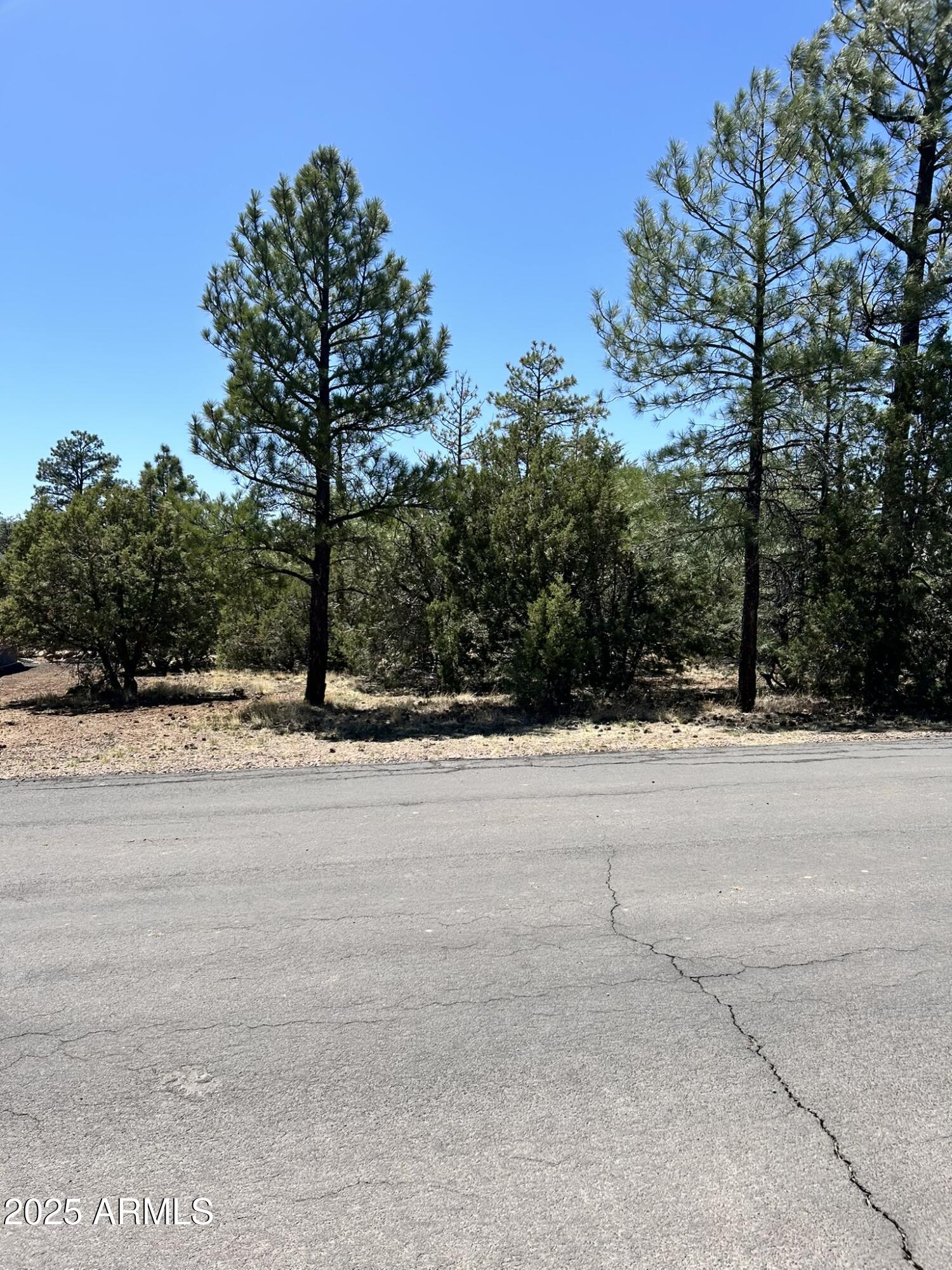 5454 GRAY WOLF Drive 53, Lakeside, AZ 85929 — Photo 1 of 3