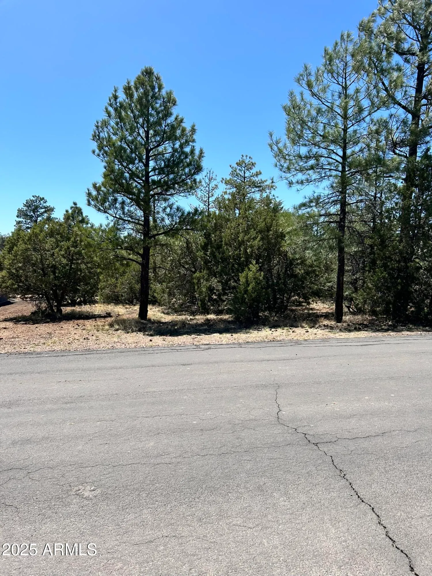 5454 GRAY WOLF Drive 53, Lakeside, AZ 85929 — Photo 1 of 3