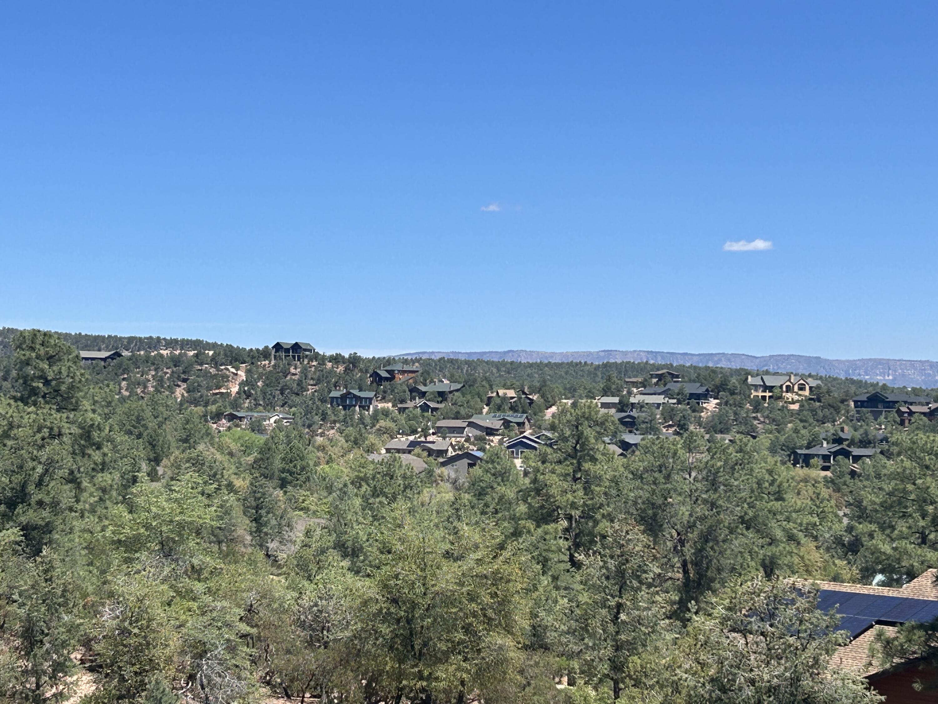 517 N Grapevine Drive, Payson, AZ 85541 — Photo 1 of 12