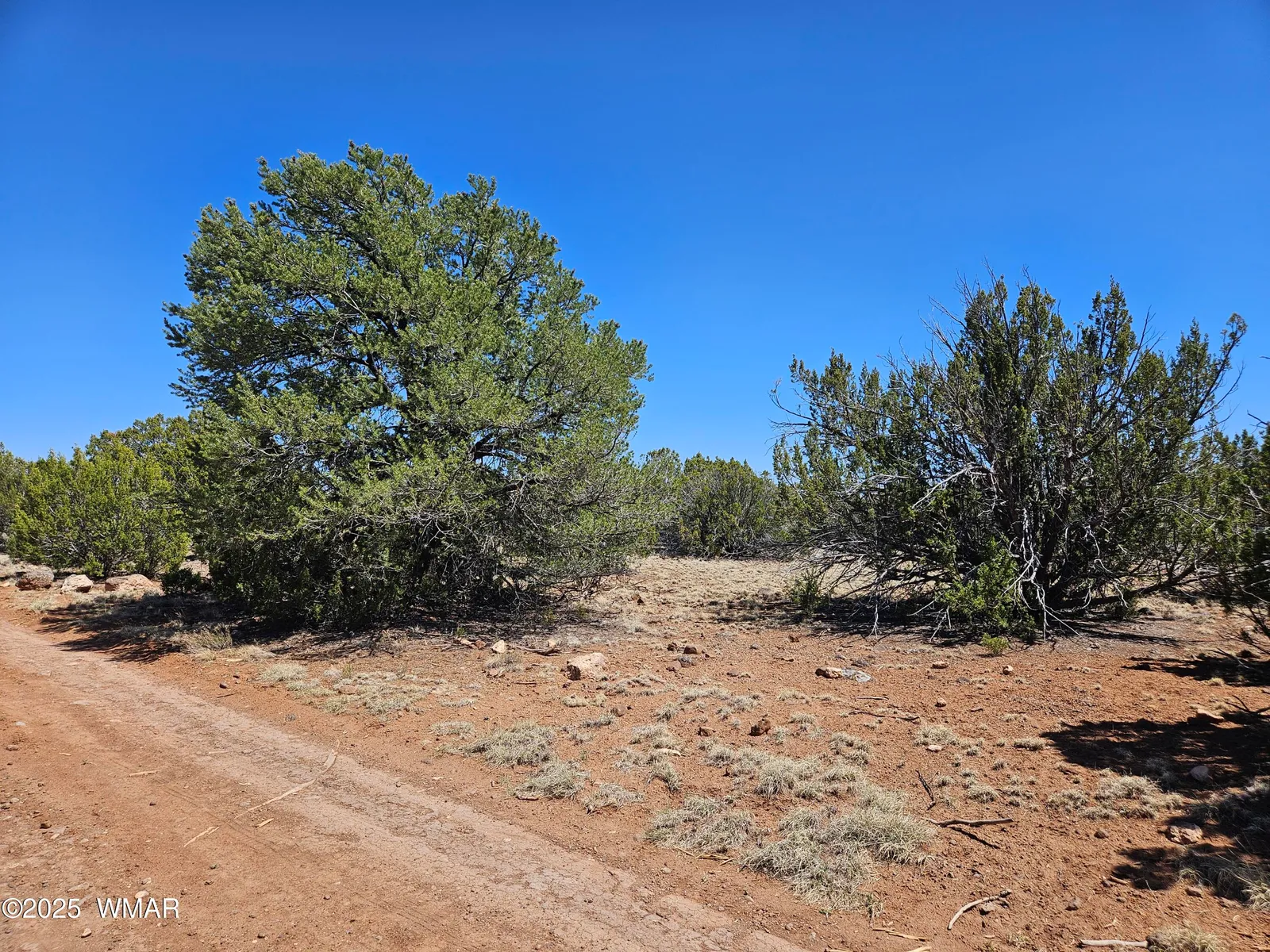 TBD N8060, Concho, AZ 85924 — Photo 1 of 22