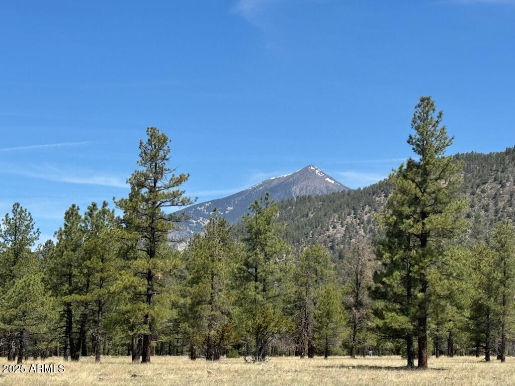Lot 4 N Quintana Drive 4, Flagstaff, AZ 86001 — Photo 1 of 11