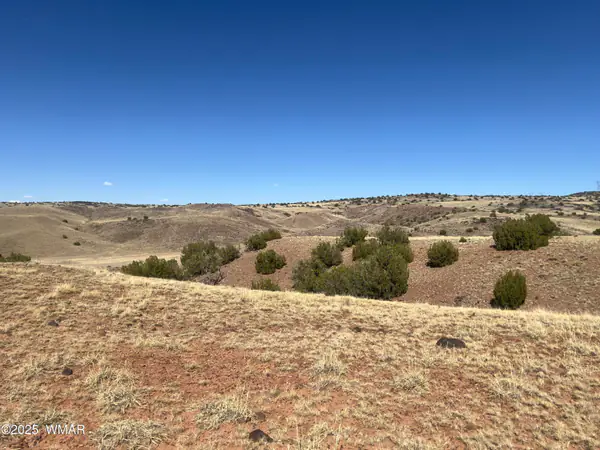 TBD County Road N5335, Concho, AZ 85924