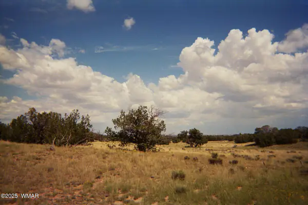 0 N6702, St. Johns, AZ 85936