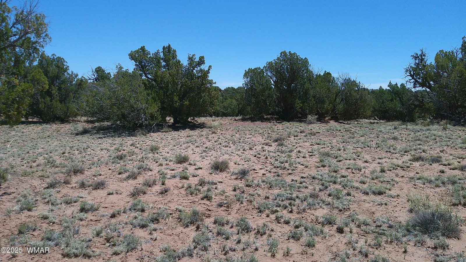 TBD Rio Ranch, Concho, AZ 85924 — Photo 1 of 44