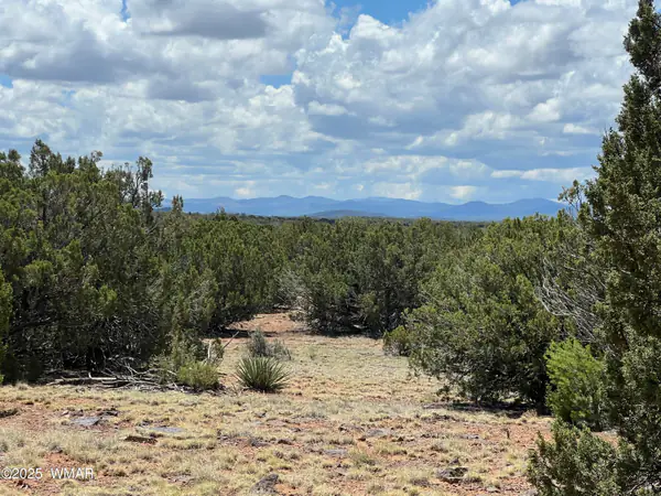TBD County Road 8309, Concho, AZ 85924