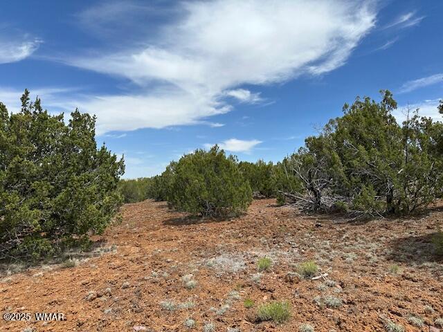 44 County Road 3048, Concho, AZ 85924