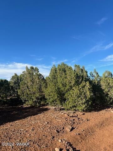 8776 Clark Road, Show Low, AZ 85901