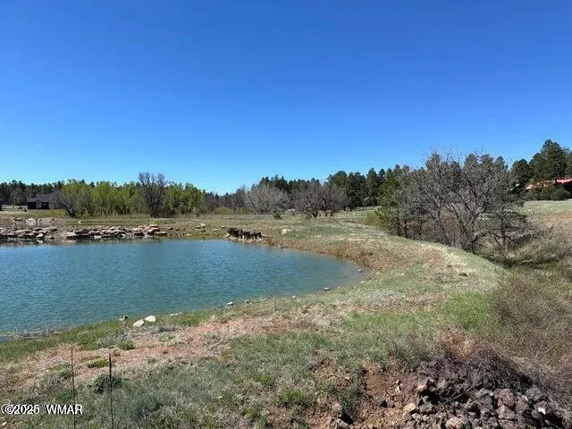1301 Lakeside Trail, Show Low, AZ 85901 — Photo 1 of 11
