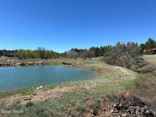 1301 Lakeside Trail, Show Low, AZ 85901