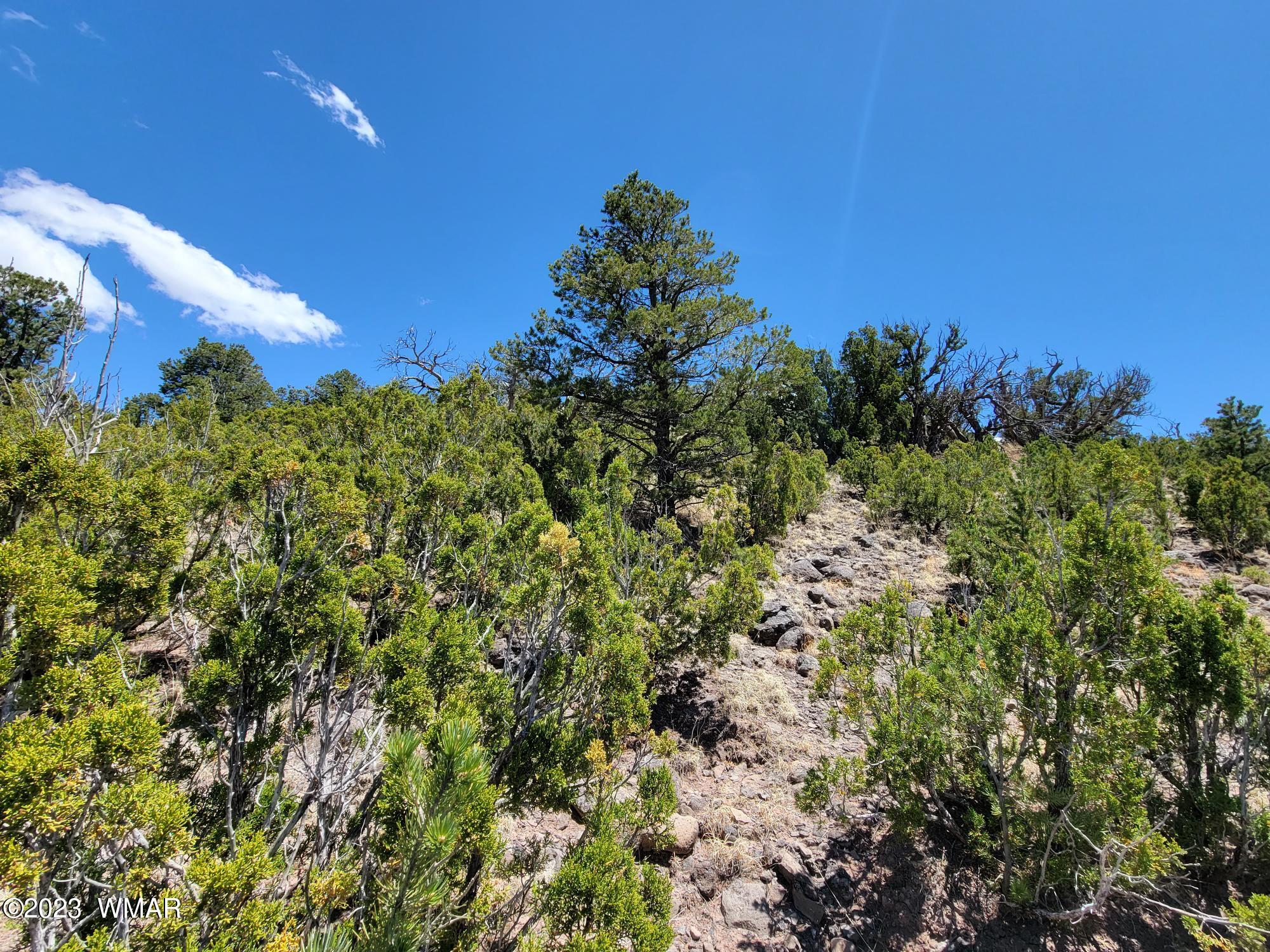 TBD SUNSET Drive, Eagar, AZ 85925