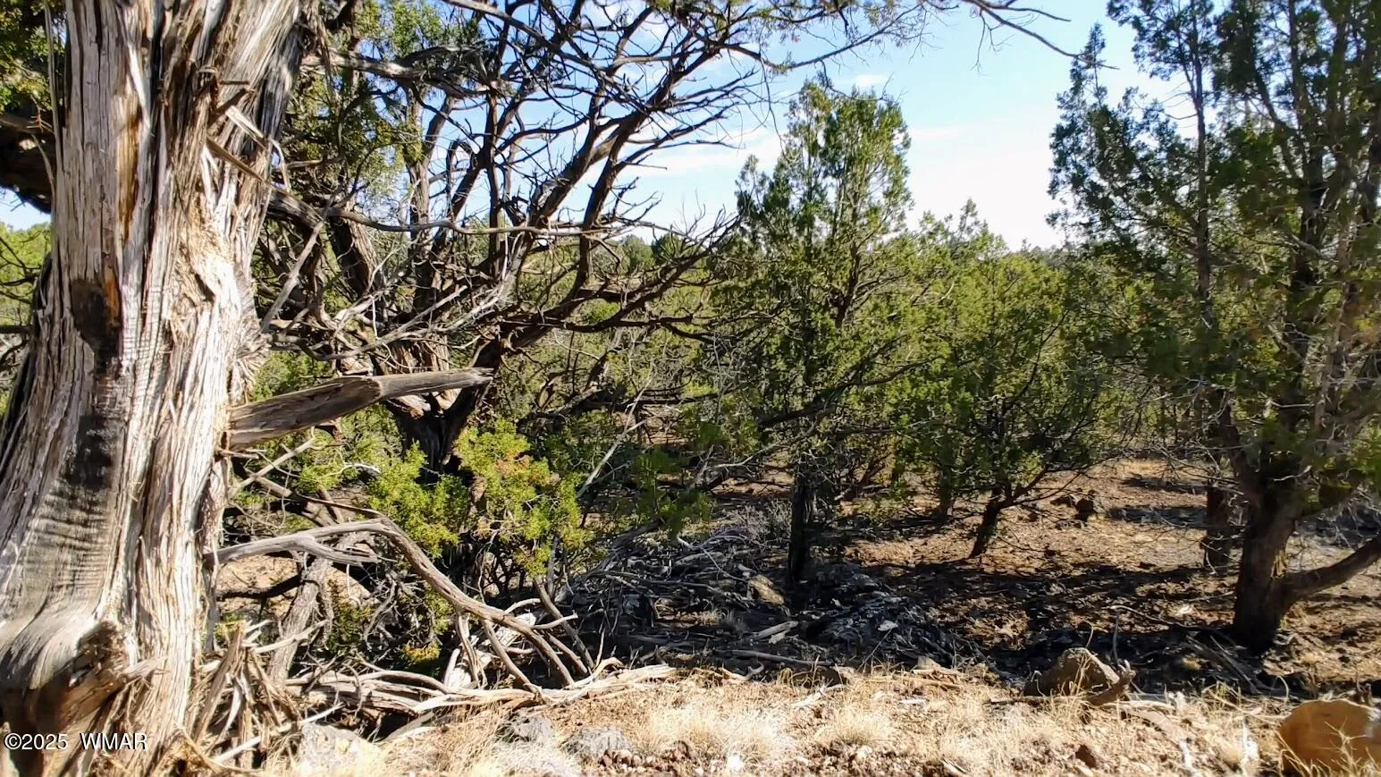 1849 Rocky Bottom Place, Show Low, AZ 85901 — Photo 1 of 9