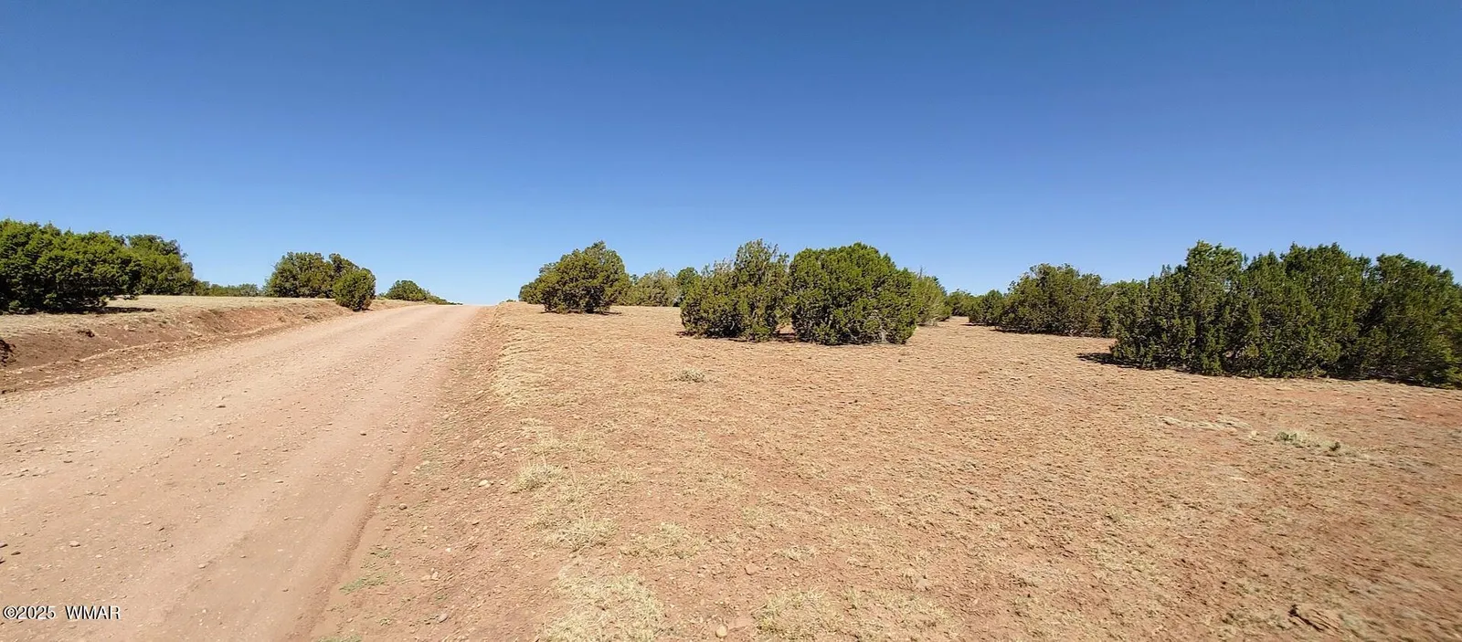 9142 Texas Lane, Show Low, AZ 85901 — Photo 1 of 10