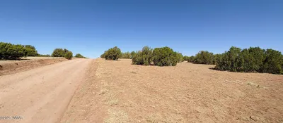 9142 Texas Lane, Show Low, AZ 85901