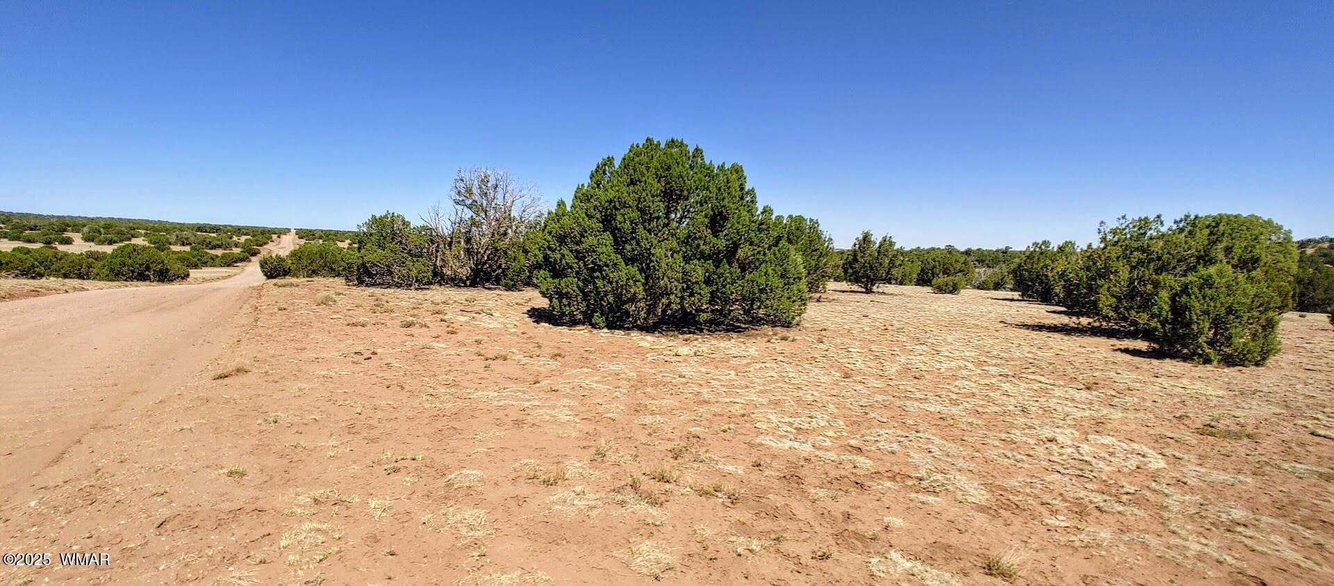 9182 Texas Lane, Show Low, AZ 85901