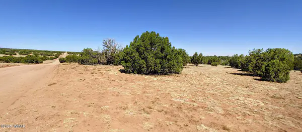 9182 Texas Lane, Show Low, AZ 85901
