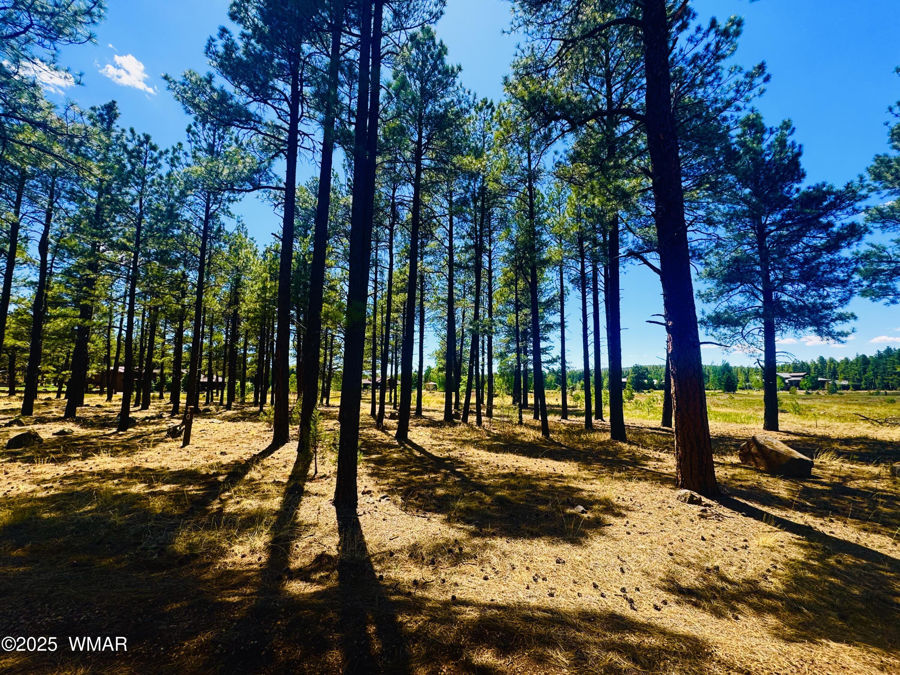 9578 Sierra Springs Drive, Pinetop, AZ 85935