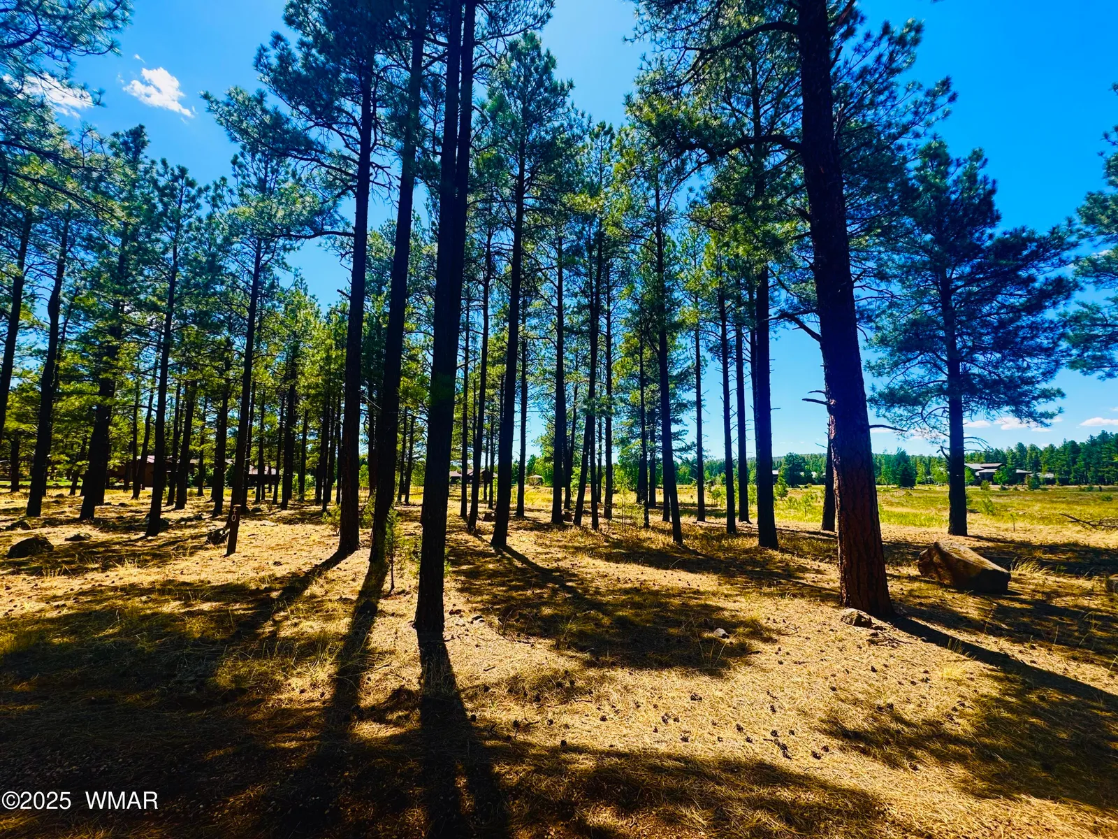 9578 Sierra Springs Drive, Pinetop, AZ 85935 — Photo 1 of 10