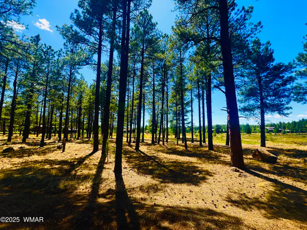 9578 Sierra Springs Drive, Pinetop, AZ 85935