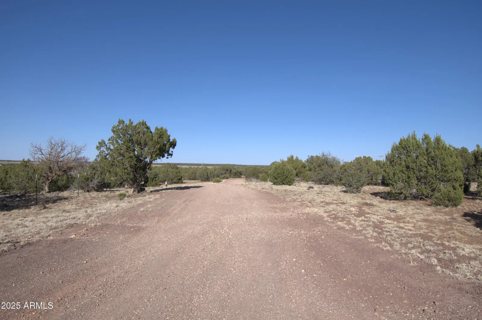 TBD 304-12-020 A & B Drive 14, Show Low, AZ 85901 — Photo 1 of 11