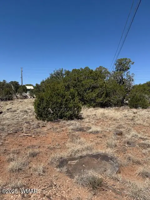 1860 Rainbow Circle, Show Low, AZ 85901