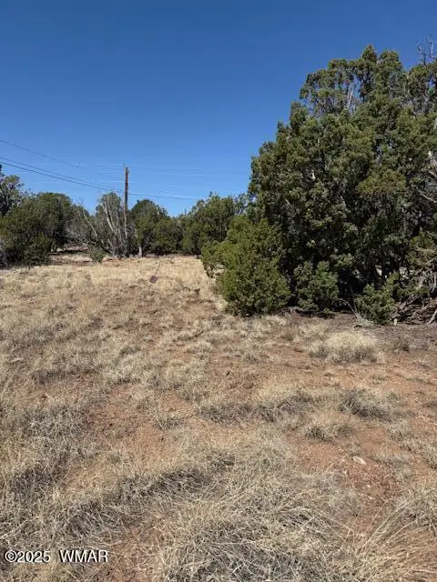 1858 Rainbow Circle, Show Low, AZ 85901