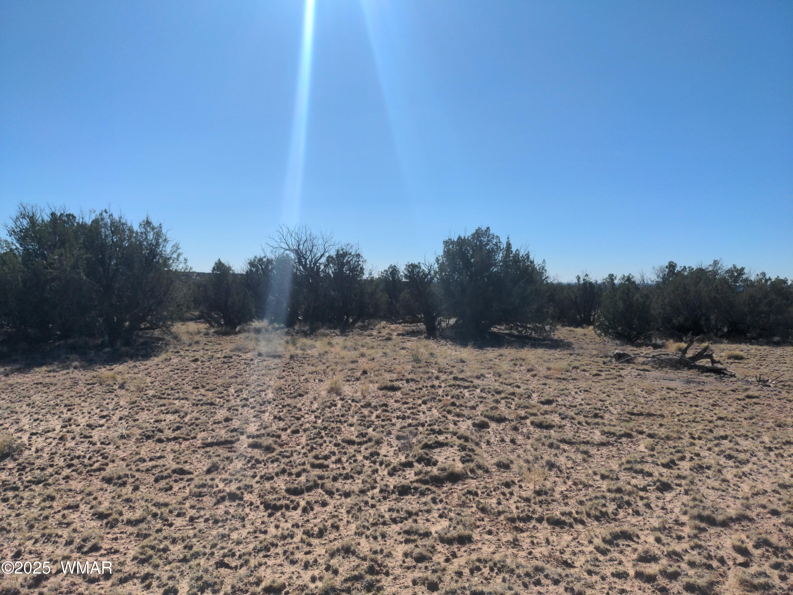LOT 35 6718, St. Johns, AZ 85936