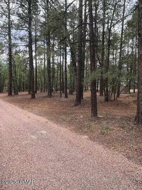 5480 Apache Trail, Pinetop, AZ 85935 — Photo 1 of 8