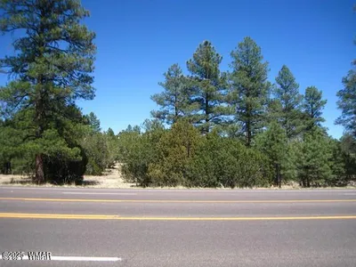 2081 Forest Park, Overgaard, AZ 85933