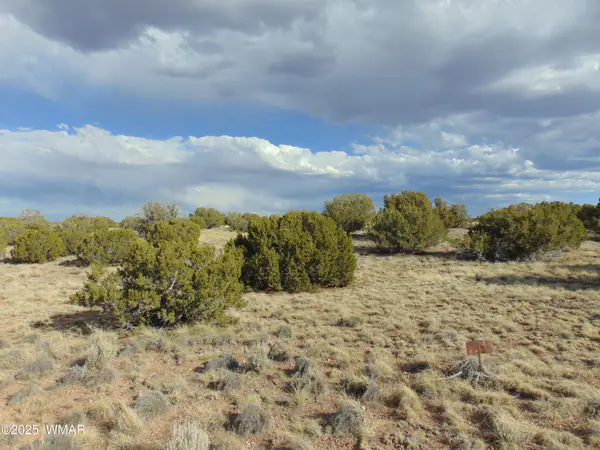 38 Gila Drive, Concho, AZ 85924