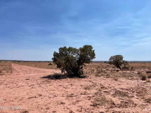 8191 E Concho Highway Parcel B Parcel B, Snowflake, AZ 85937