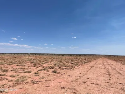 8191 E Concho Highway Parcel C Parcel C, Snowflake, AZ 85937
