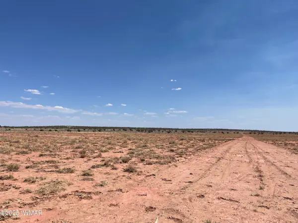 8191 E Concho Highway Parcel C Parcel C, Snowflake, AZ 85937