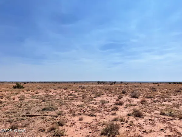 8191 E Concho Highway Parcel D Parcel D, Snowflake, AZ 85937