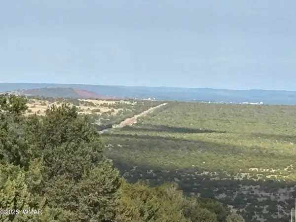 60 County Road 8140, Lot 15, Vernon, AZ 85940