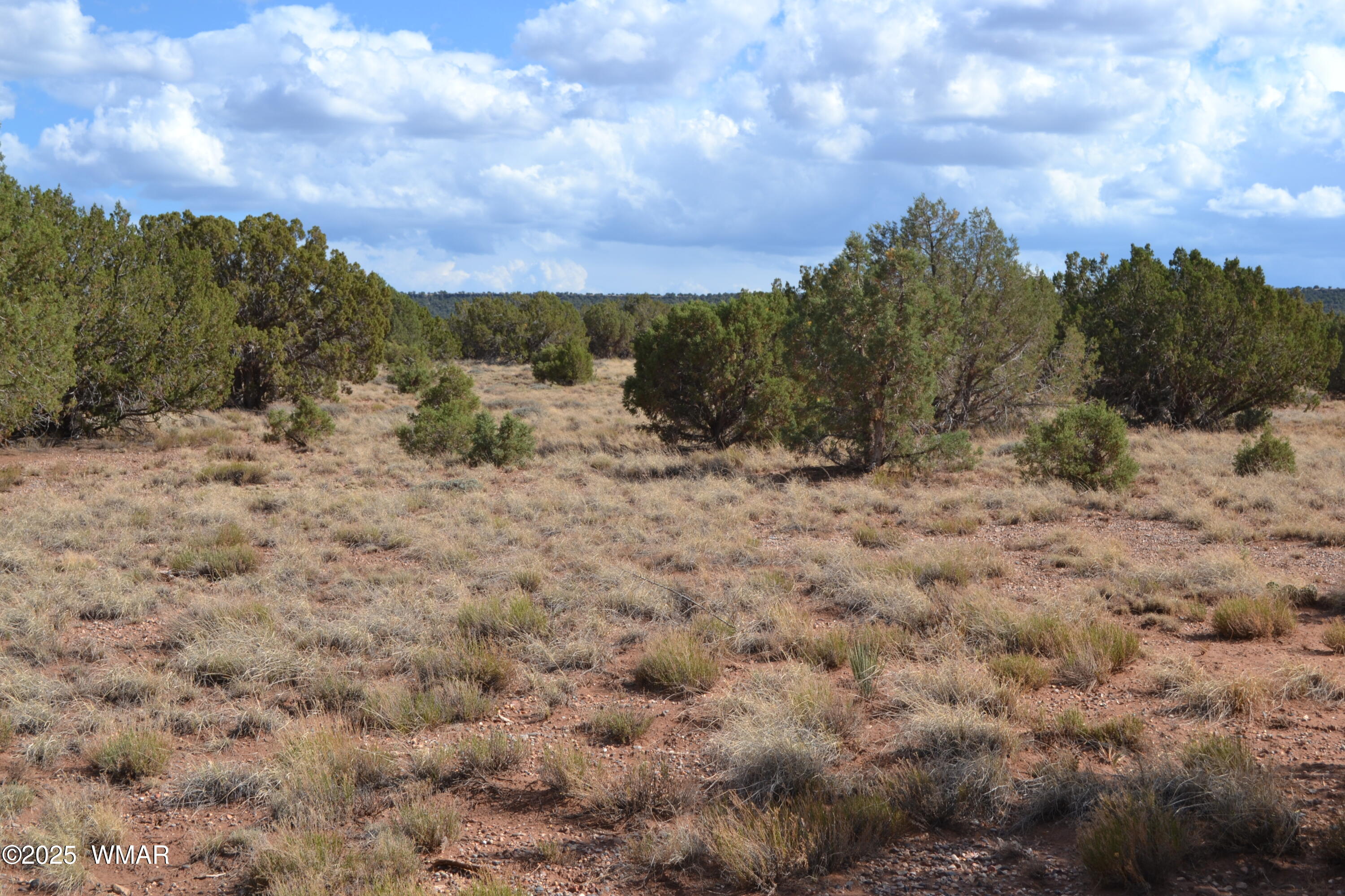 4161 Colt Road, Snowflake, AZ 85937