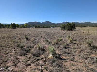 279 E Hubbard Lane -, Young, AZ 85554