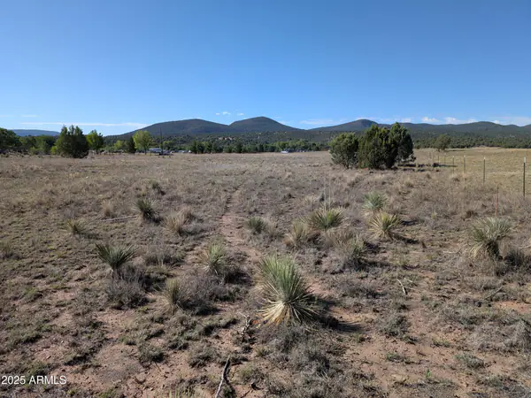 279 E Hubbard Lane -, Young, AZ 85554
