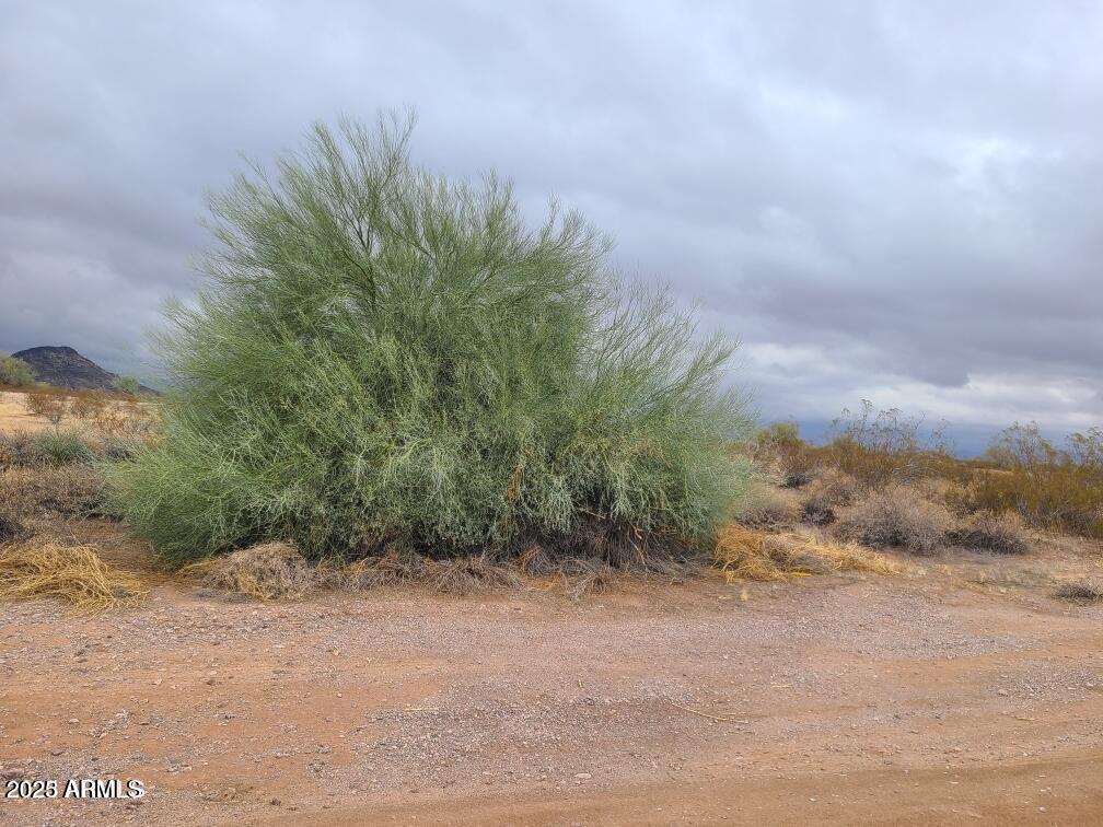 0 W Campbell Avenue 272, Tonopah, AZ 85354 — Photo 1 of 11