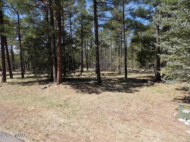 922 Pine Creek Drive, Lakeside, AZ 85929