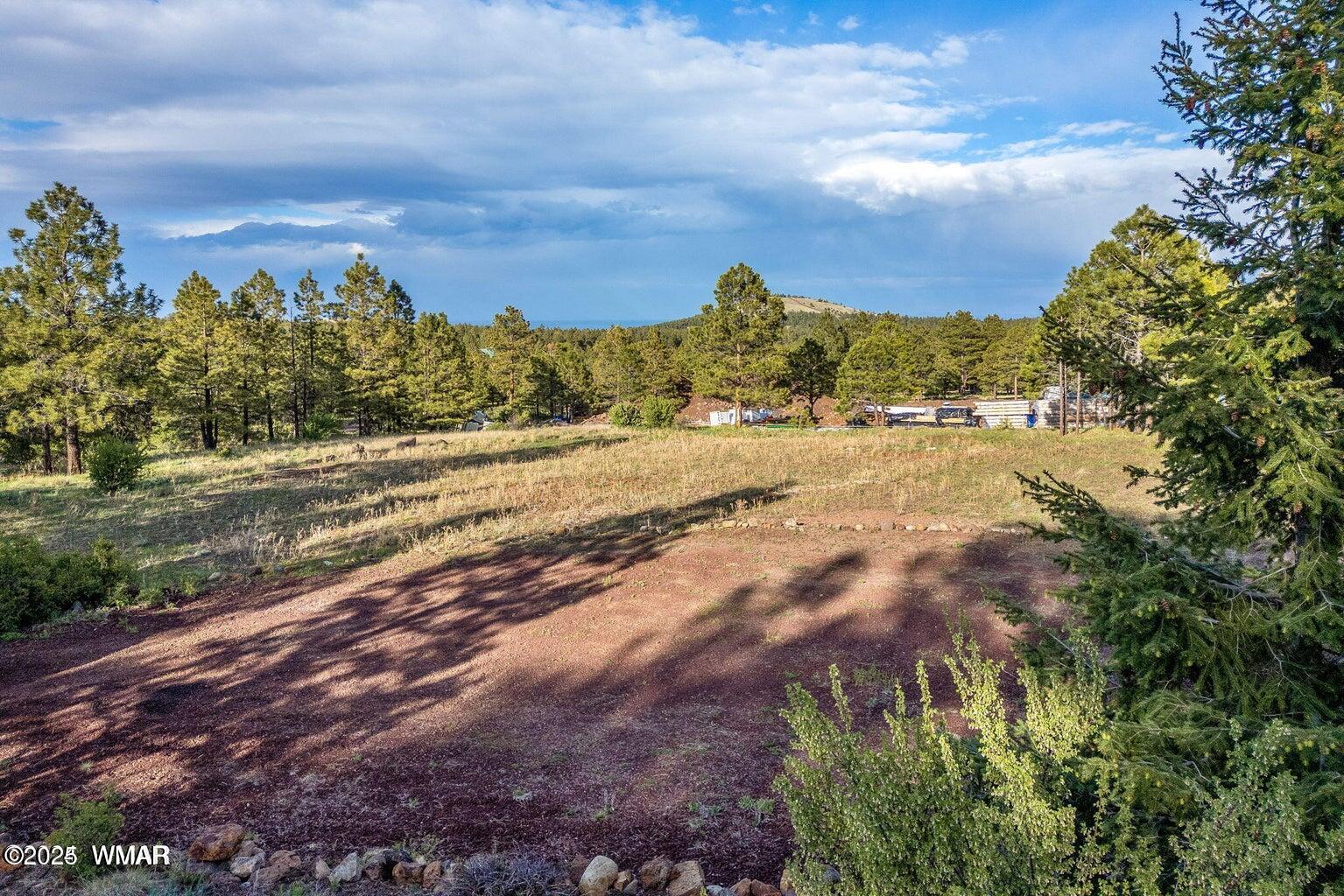 34 N 1330, Greer, AZ 85927 — Photo 1 of 16