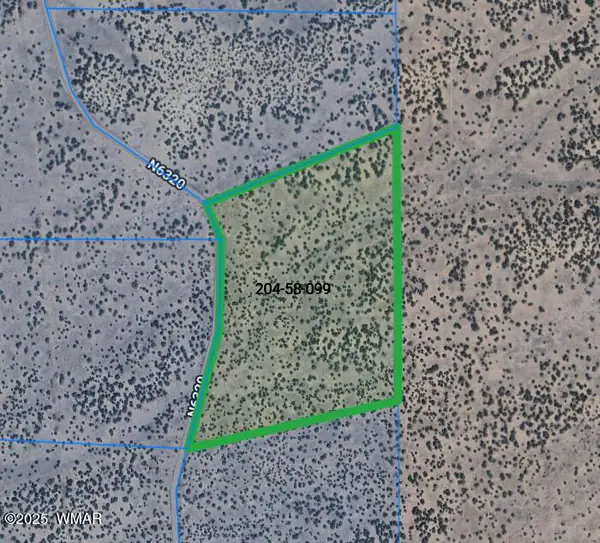 Lot 99 Woodland Valley Ranch, St. Johns, AZ 85936