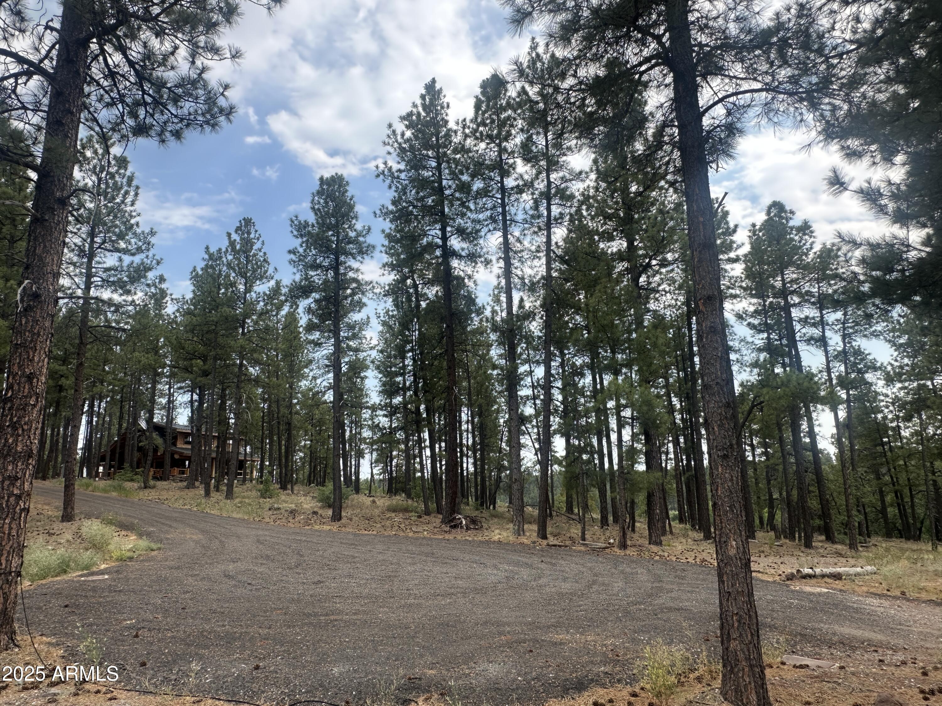 395 W LAZY PINE Lane -, Munds Park, AZ 86017 — Photo 1 of 16